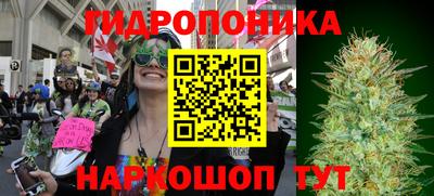 ешки Будённовск