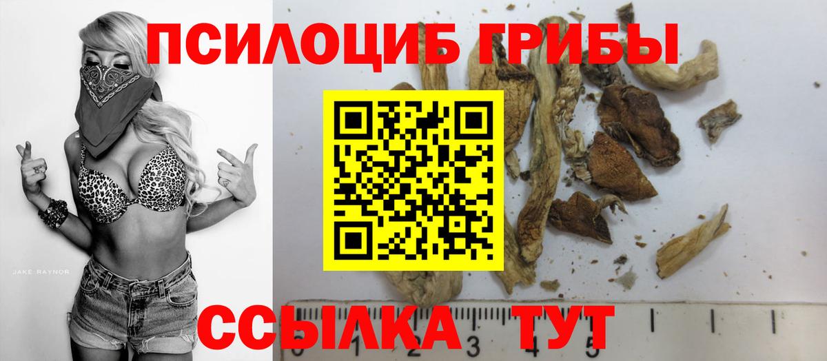 Галлюциногенные грибы Cubensis  Вход с VPN  Ачинск  Галлюциногенные грибы прущие грибы 